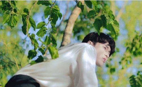 吃瓜娱乐张艺兴,吃瓜娱乐背后的实力派偶像